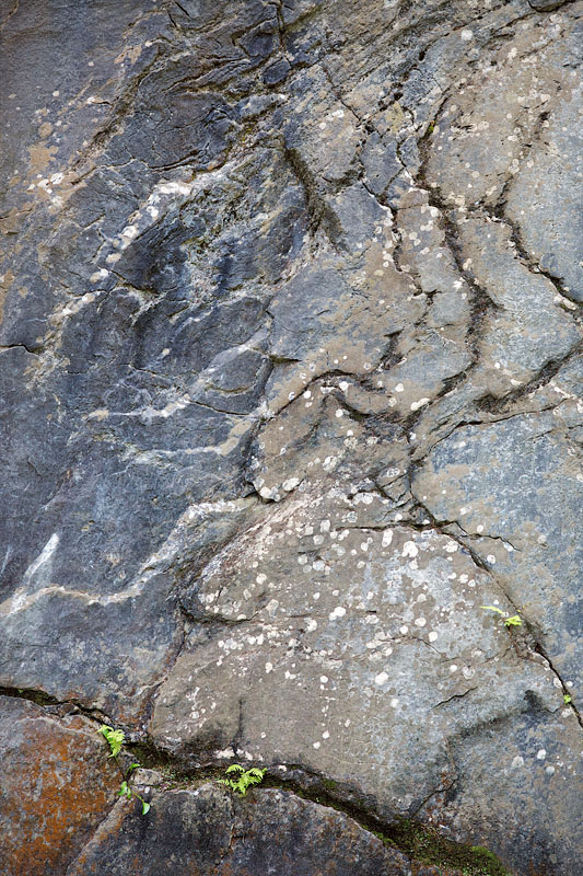 Along the Deerfield River