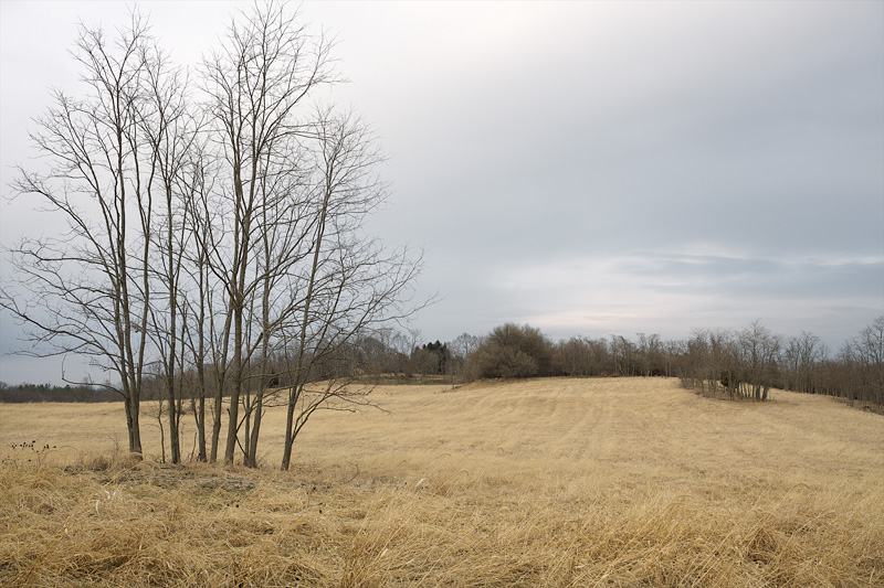 School House Ridge