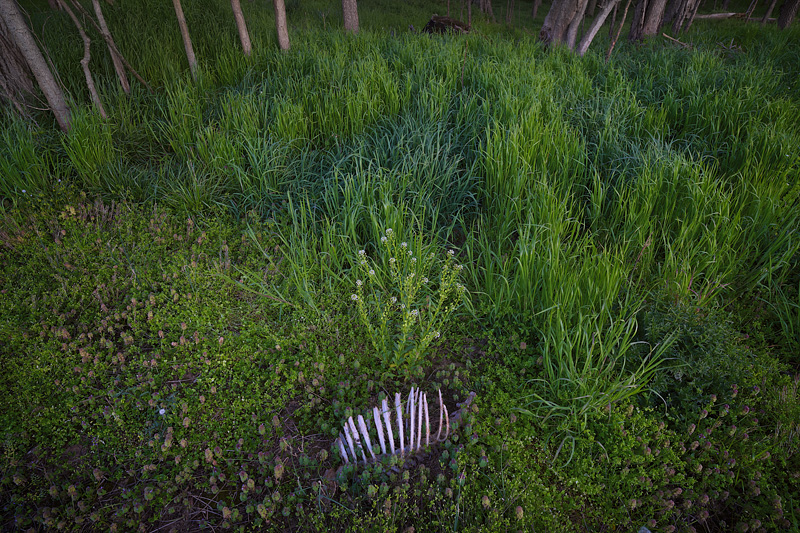 CrossroadFertilizer_MG_9764