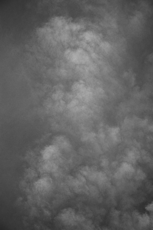 Ephemera_MG_9114