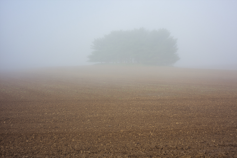 MoToSlow_MG_0342