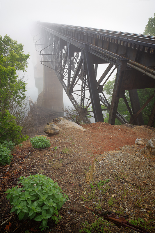 RumseyBridge_MG_0398