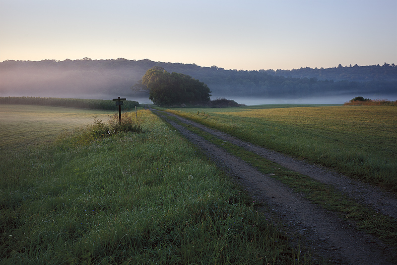 Layton, NJ_MG_3899