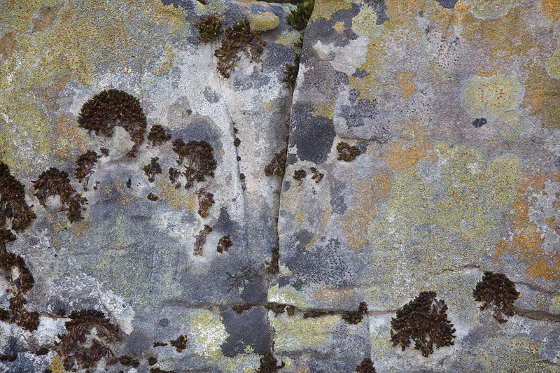 Limestone_v1_MG_9711