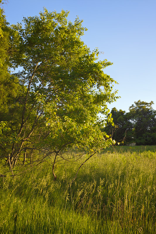 Latterell Farm_MG_1733