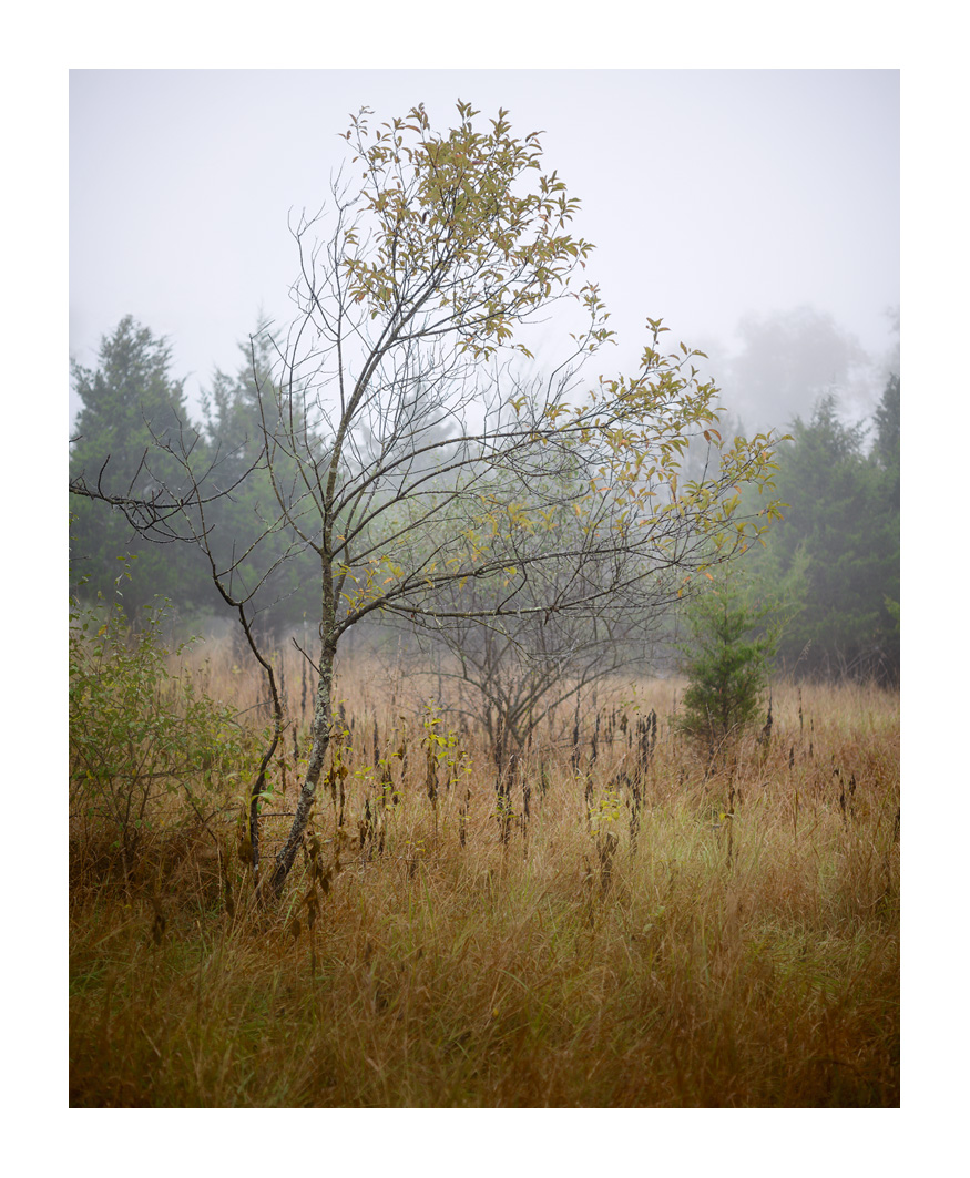 SchoolhouseRidgeSm_DSC3736