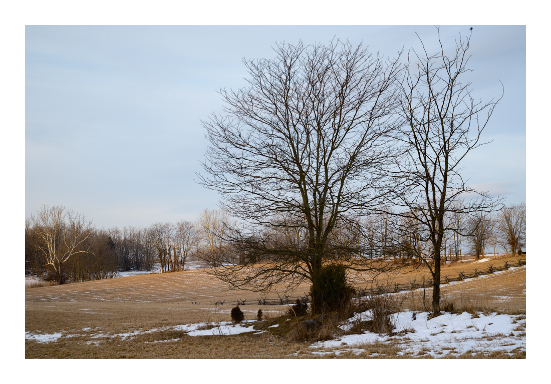 SchoolhouseSouth_DSC5267