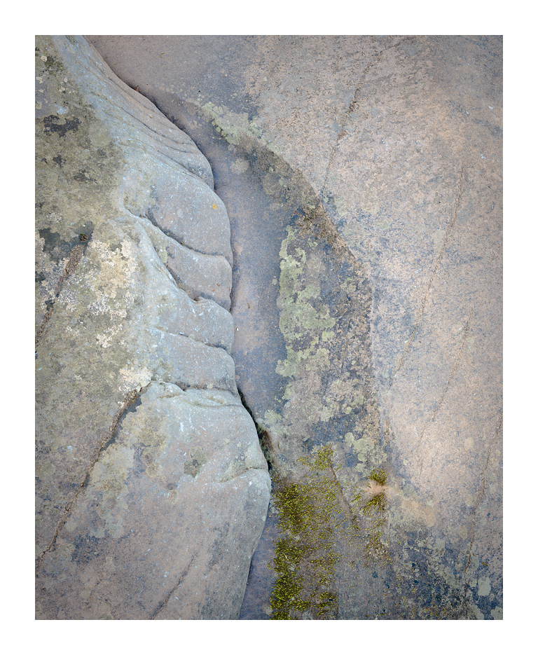 WilliamsRiver_DSC7728
