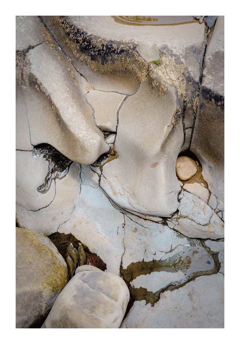 PicassoMeetsDali_DSC7892