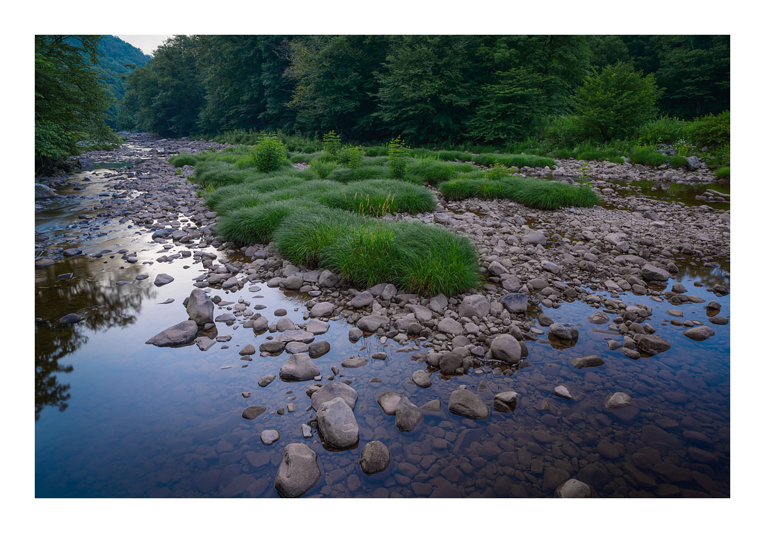 WilliamsRiver_DSC7800
