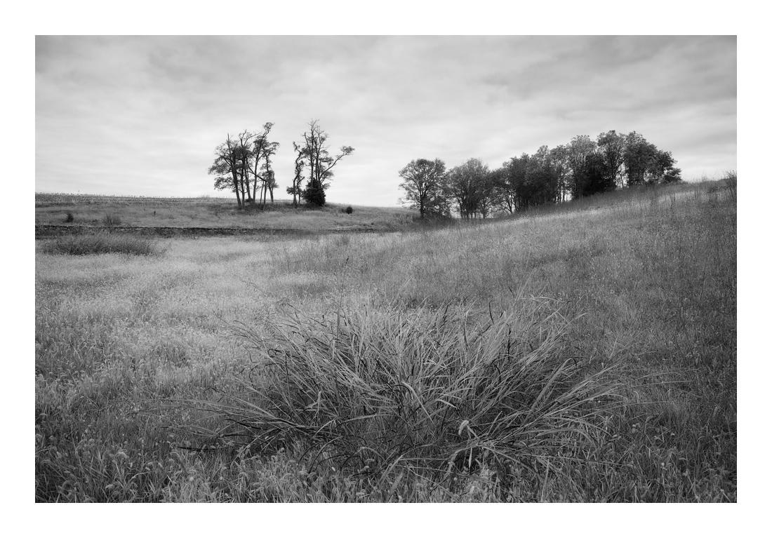 AntietamNB_DSC2747-2