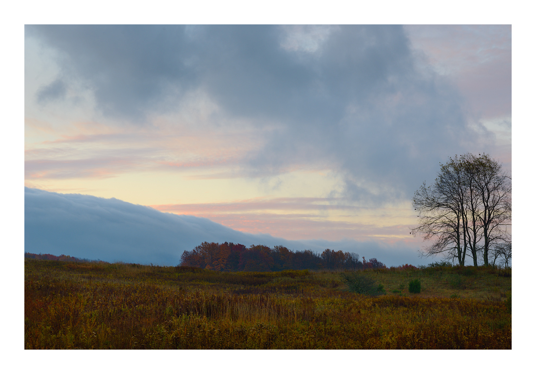DawnCanaan_DSC9217