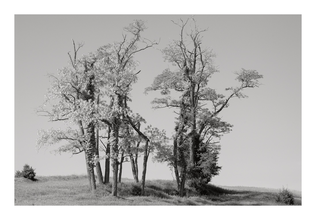 Antietam_DSC6991