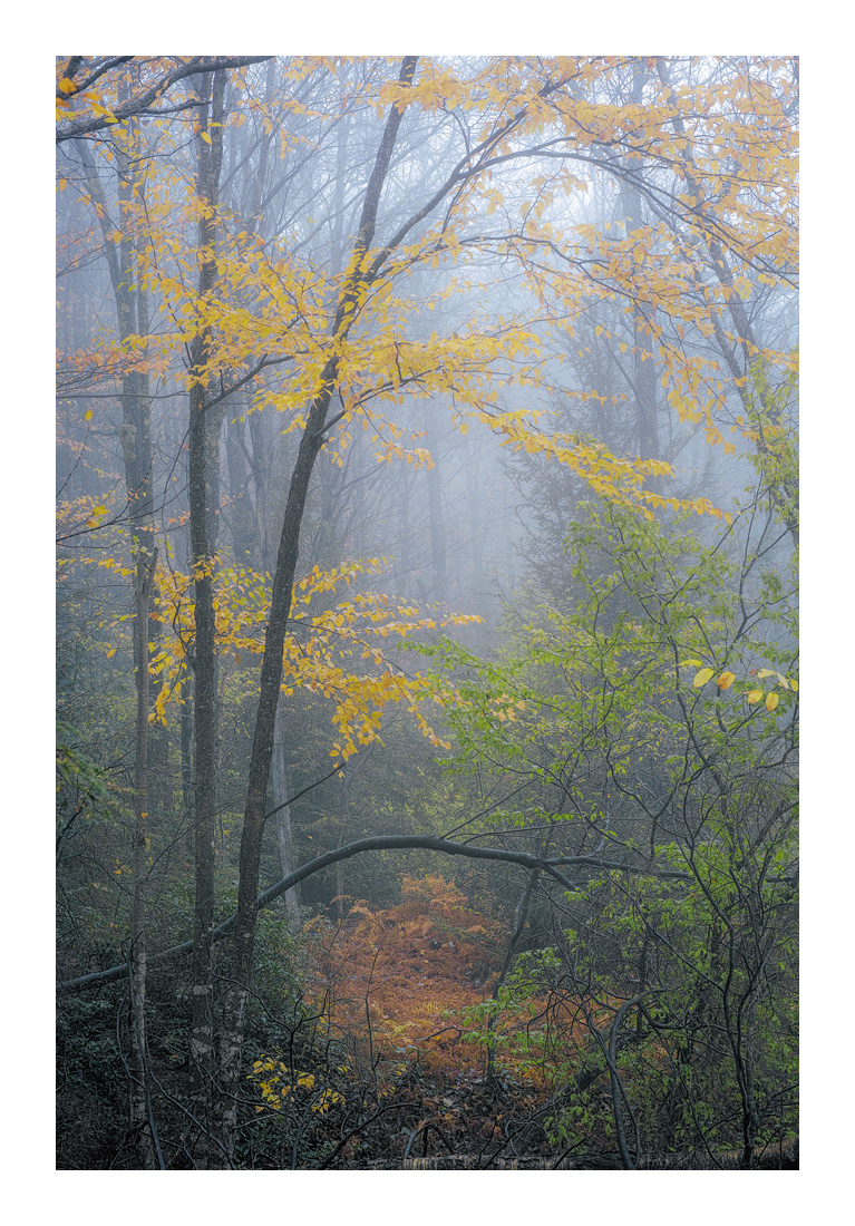 CanaanNWRBlackwater_SDI0339