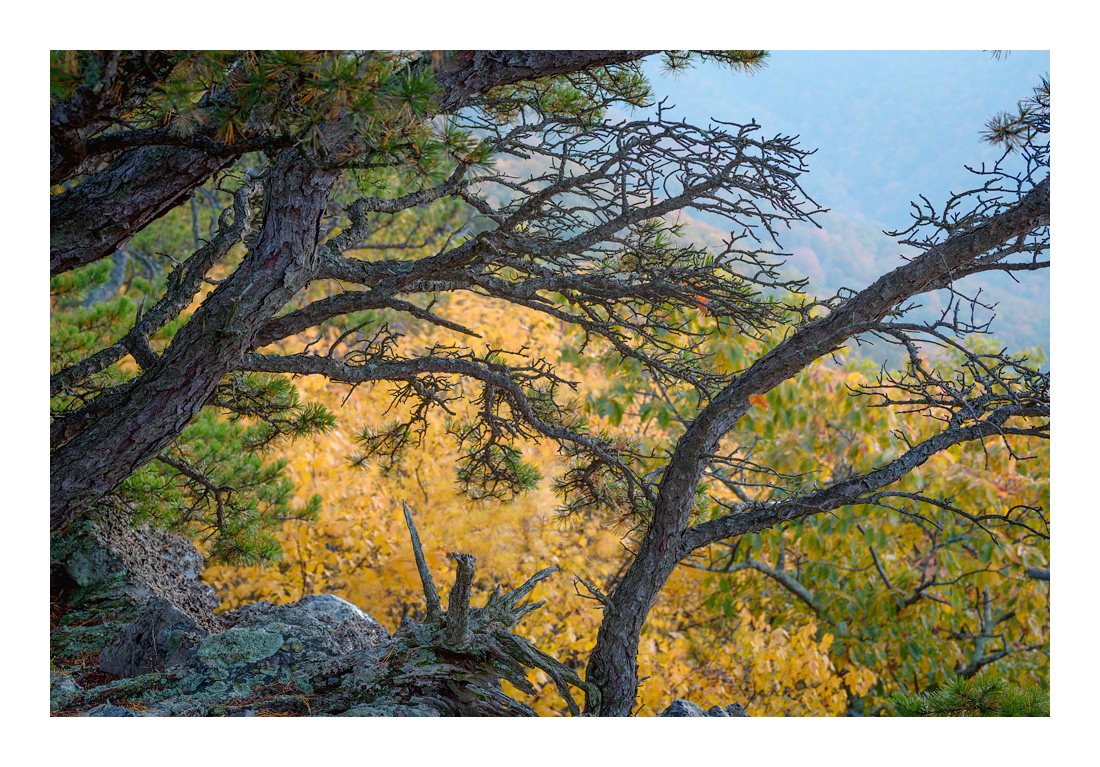 NorthForkMtn_DSC9508