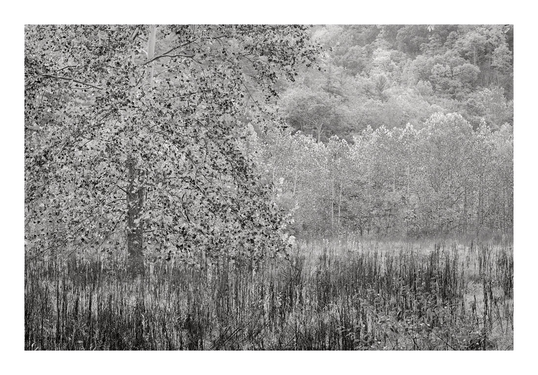 SouthBranch_DSC9510