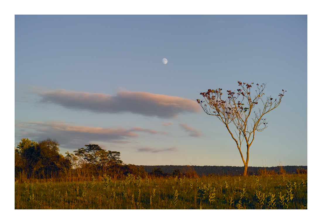 CrossroadMoonrise_SDI0245