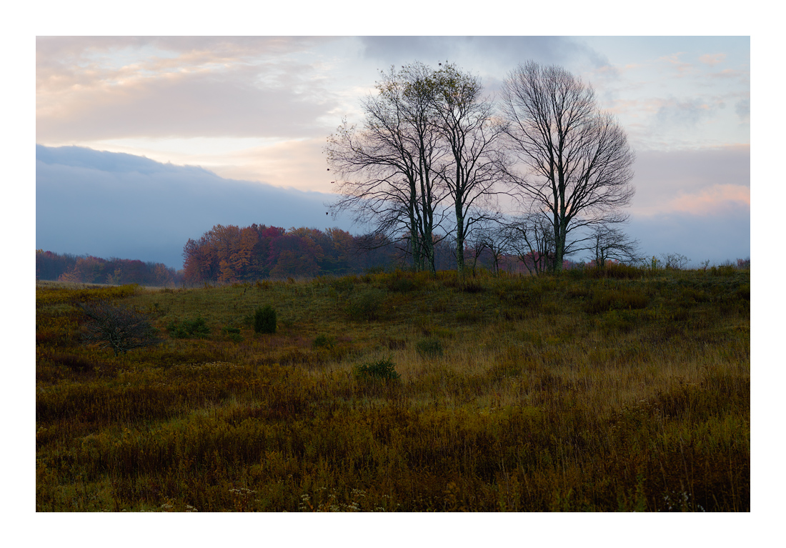 DawnCanaan_DSC9233