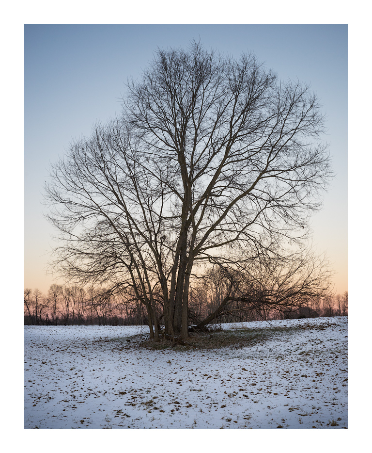 Dusk_DSC9230
