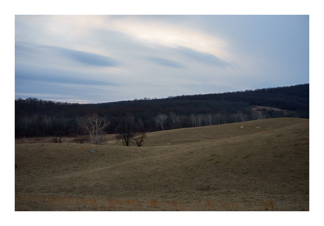 Virginia_DSC0137