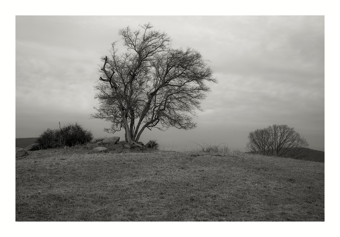 Virginia_DSC0147