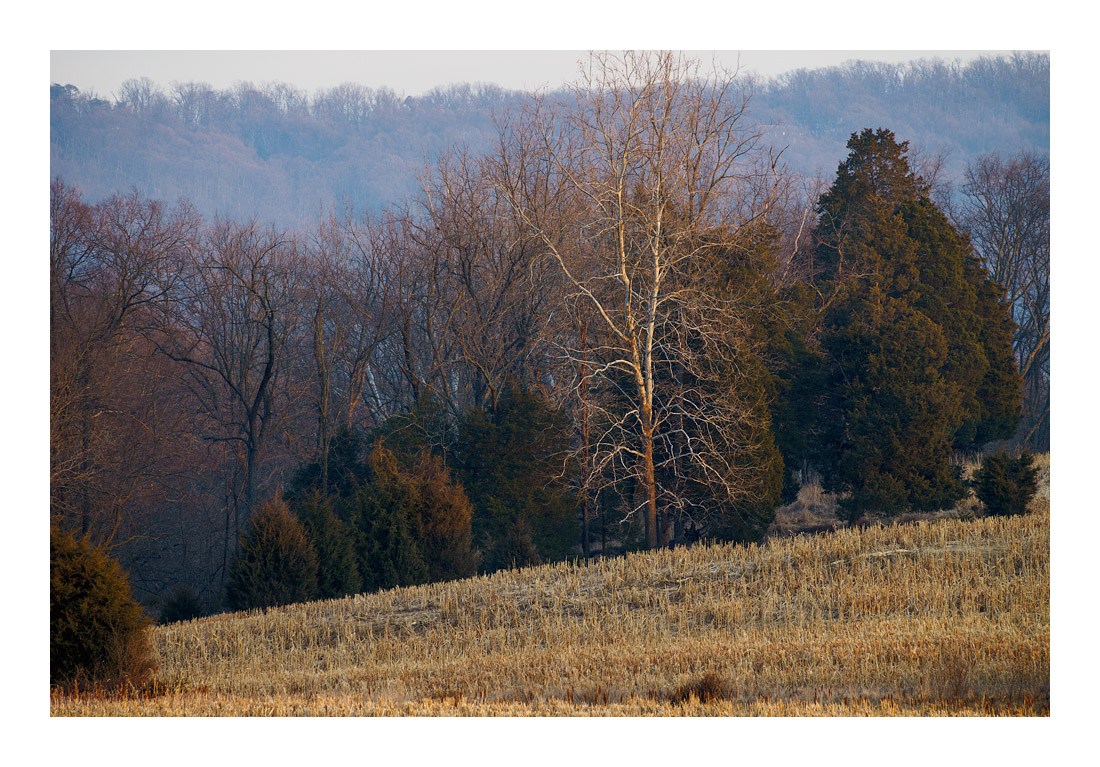 4Antietam_DSC0542