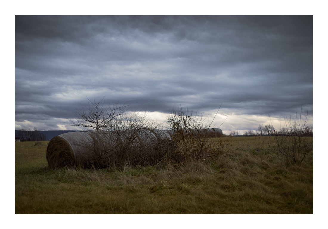 Bales_DSC9009-2