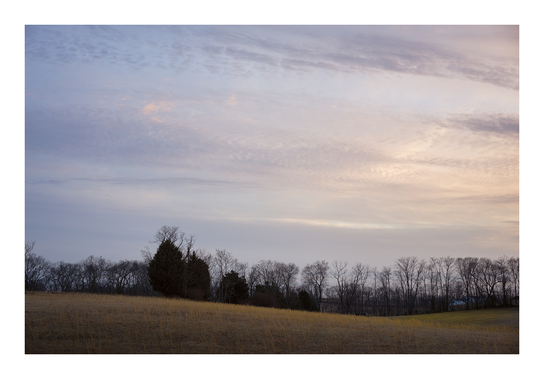 Latterells_DSC1670