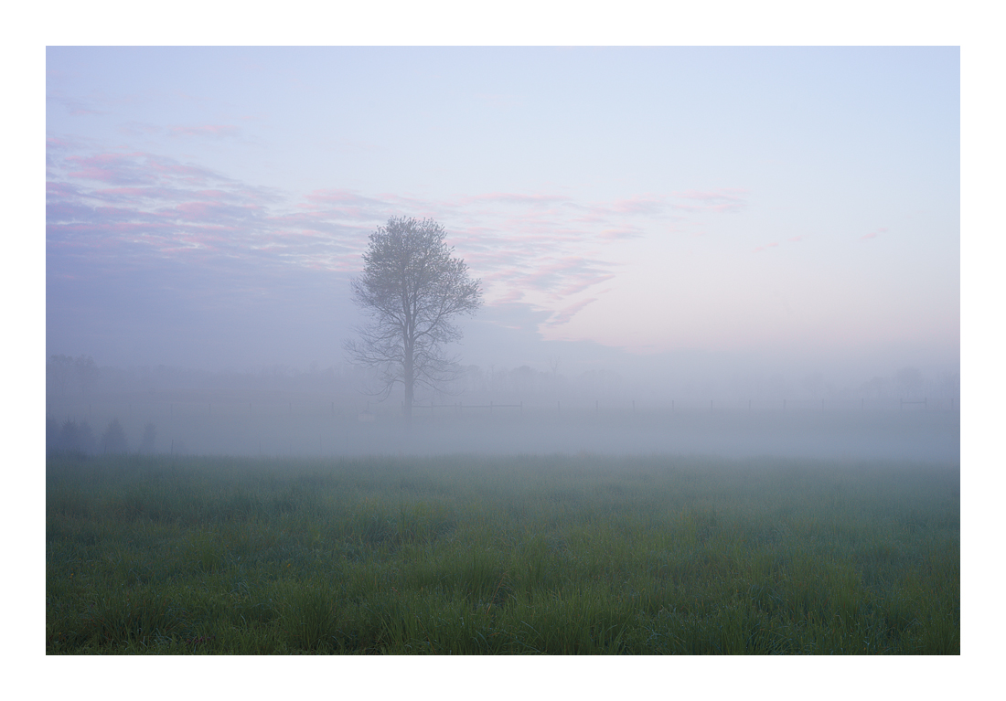45mm Zeiss Planar G