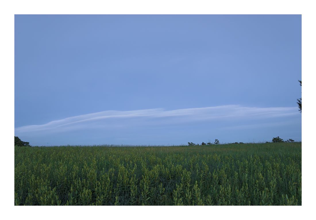 Moonless_DSC2253