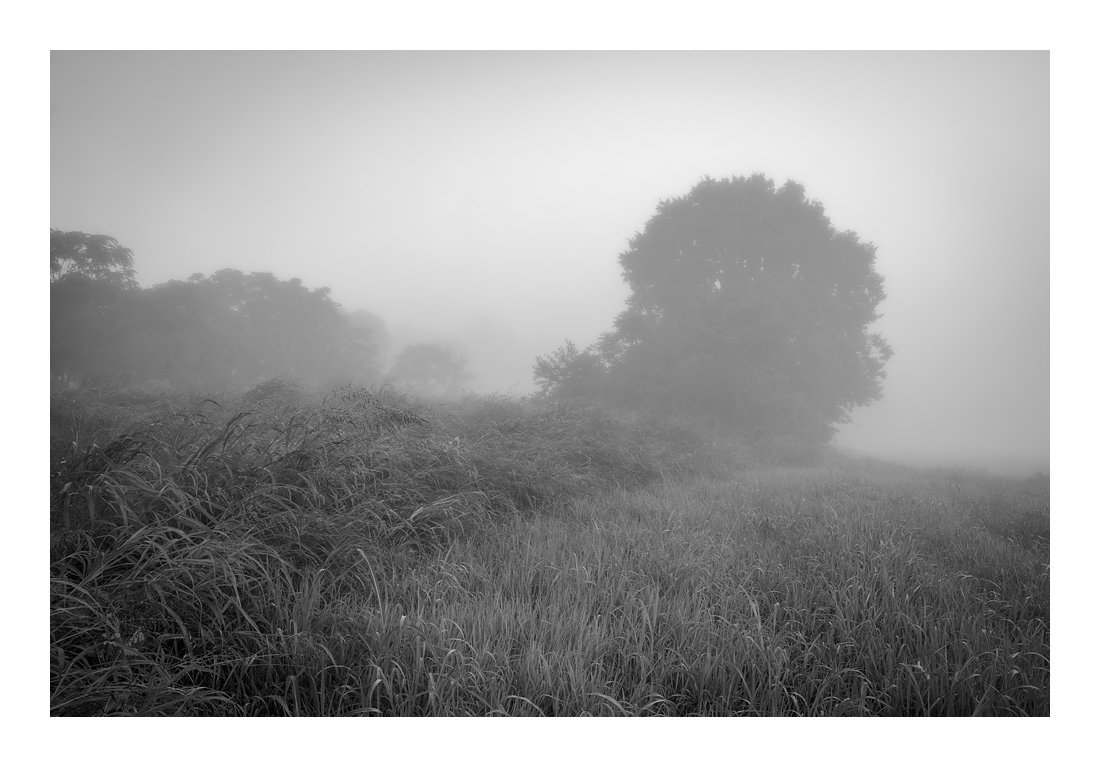 Schoolhouse_DSC1478