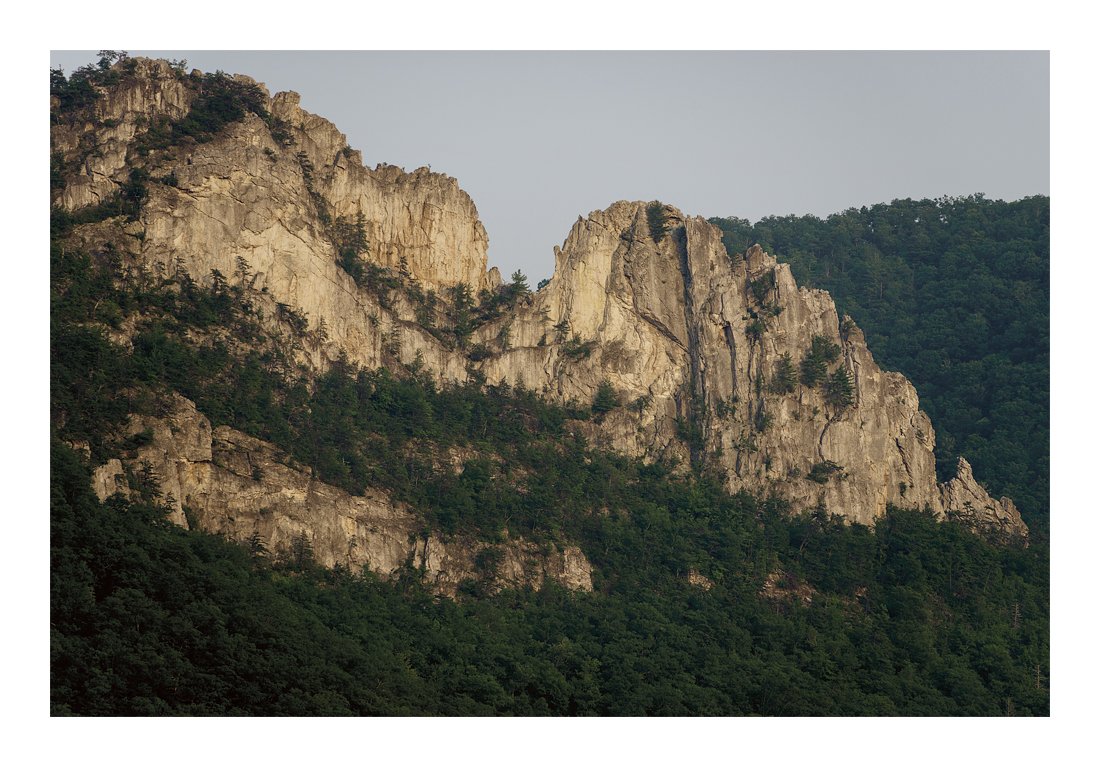 100-300mm Zeiss Vario-Sonnar CY