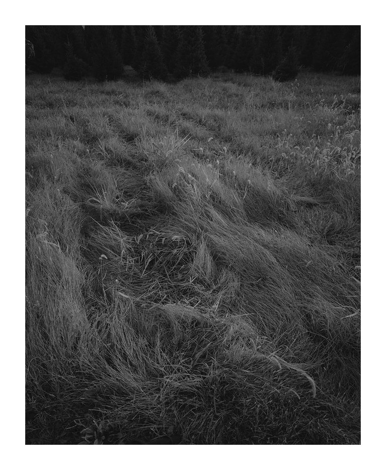 Dark_DSC5273web