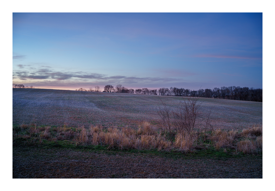 BeanField-7619 web