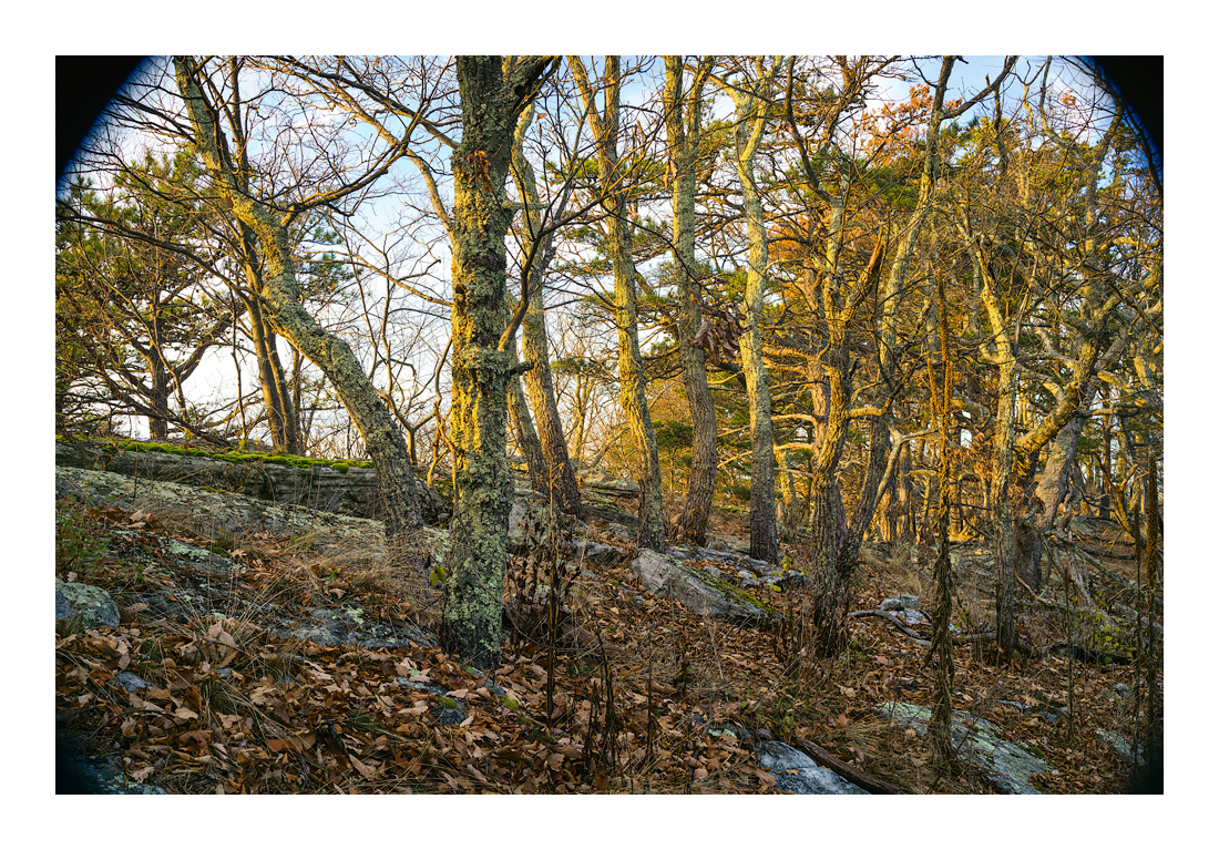 35-70 Zeiss Vario-Sonnar CY