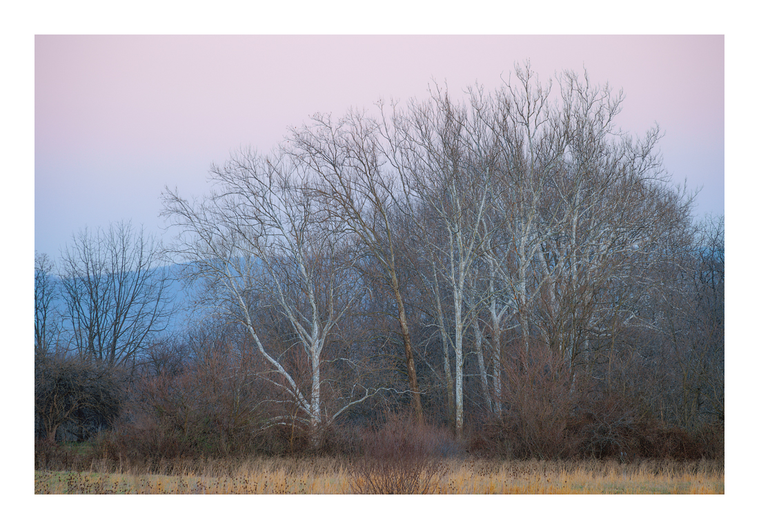 100-300mm Zeiss Vario-Sonnar CY