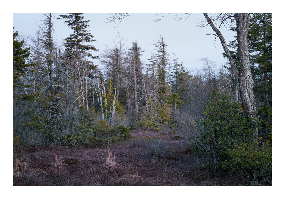 90mm Zeiss Sonnar G