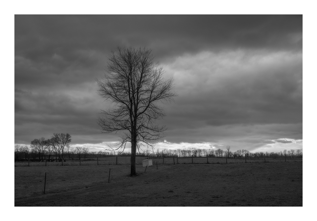 35-70mm Zeiss Vario-Sonnar CY