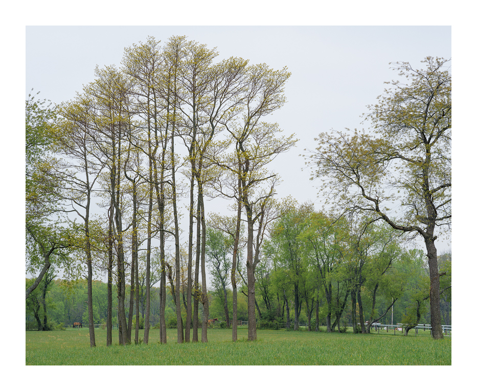 Brandywine-0479 Web