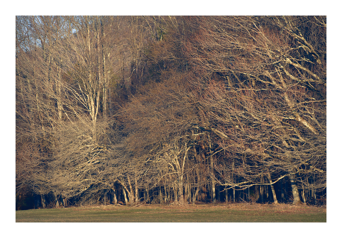 80-200mm Zeiss Vario-Sonnar CY