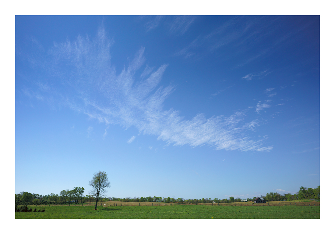 21mm Zeiss Loxia