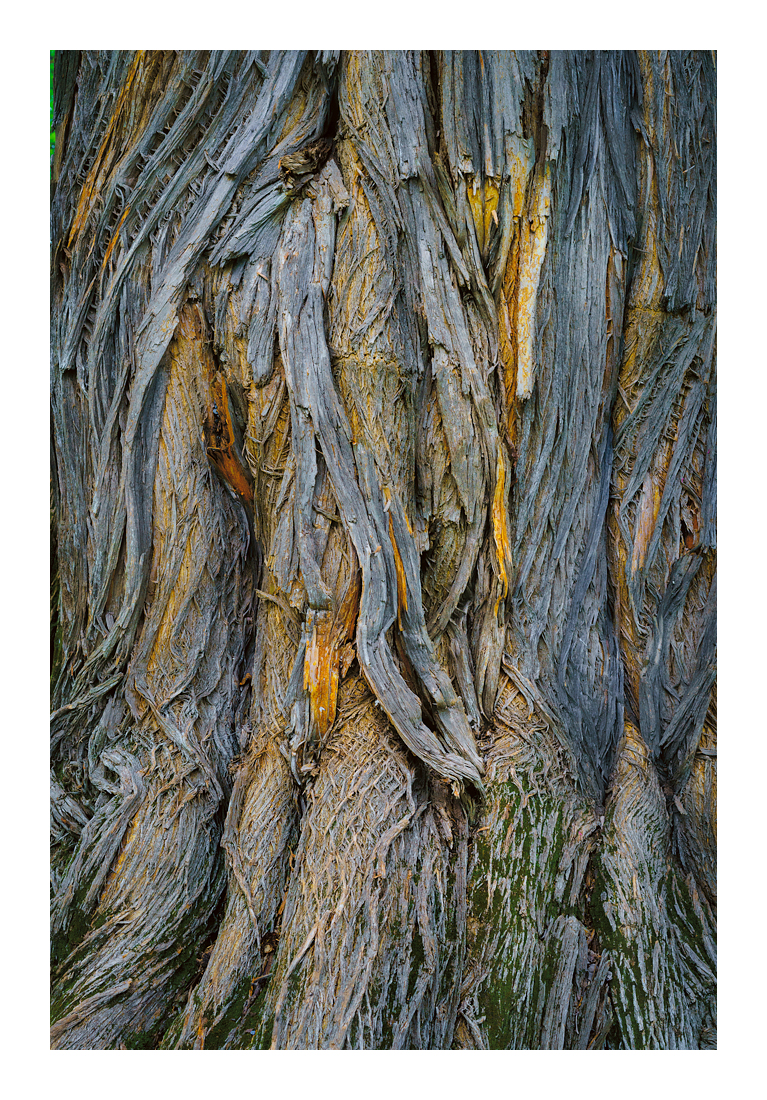 Osage-0918 Web