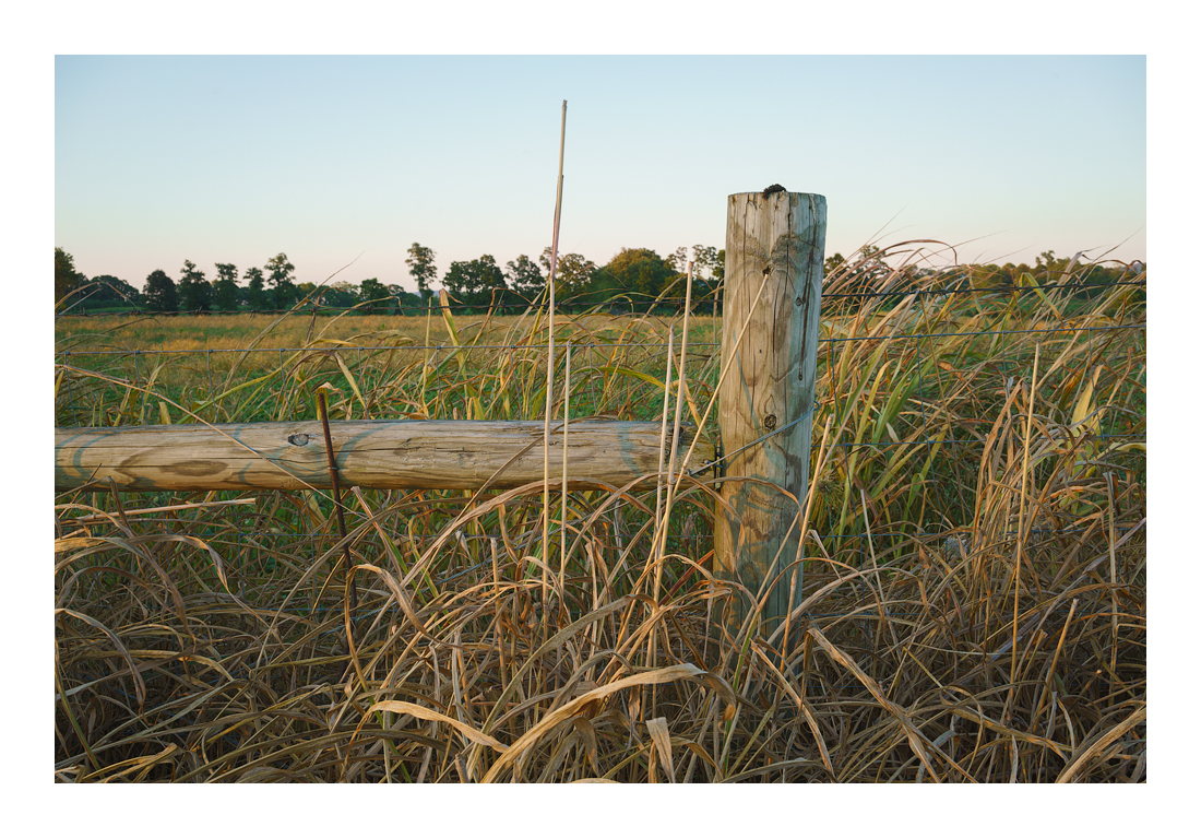 Crossroads-3009 Web