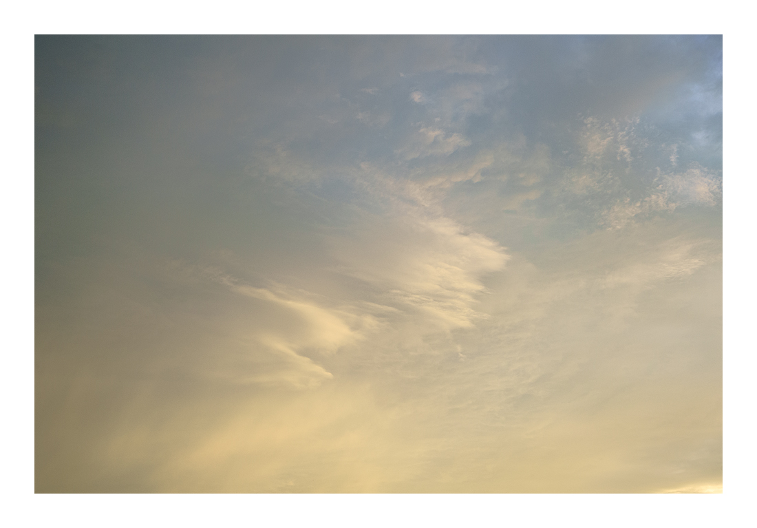 Ephemera-3209-2 Web