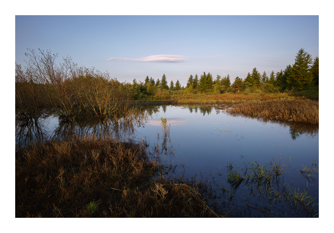 dollysods-6458-web