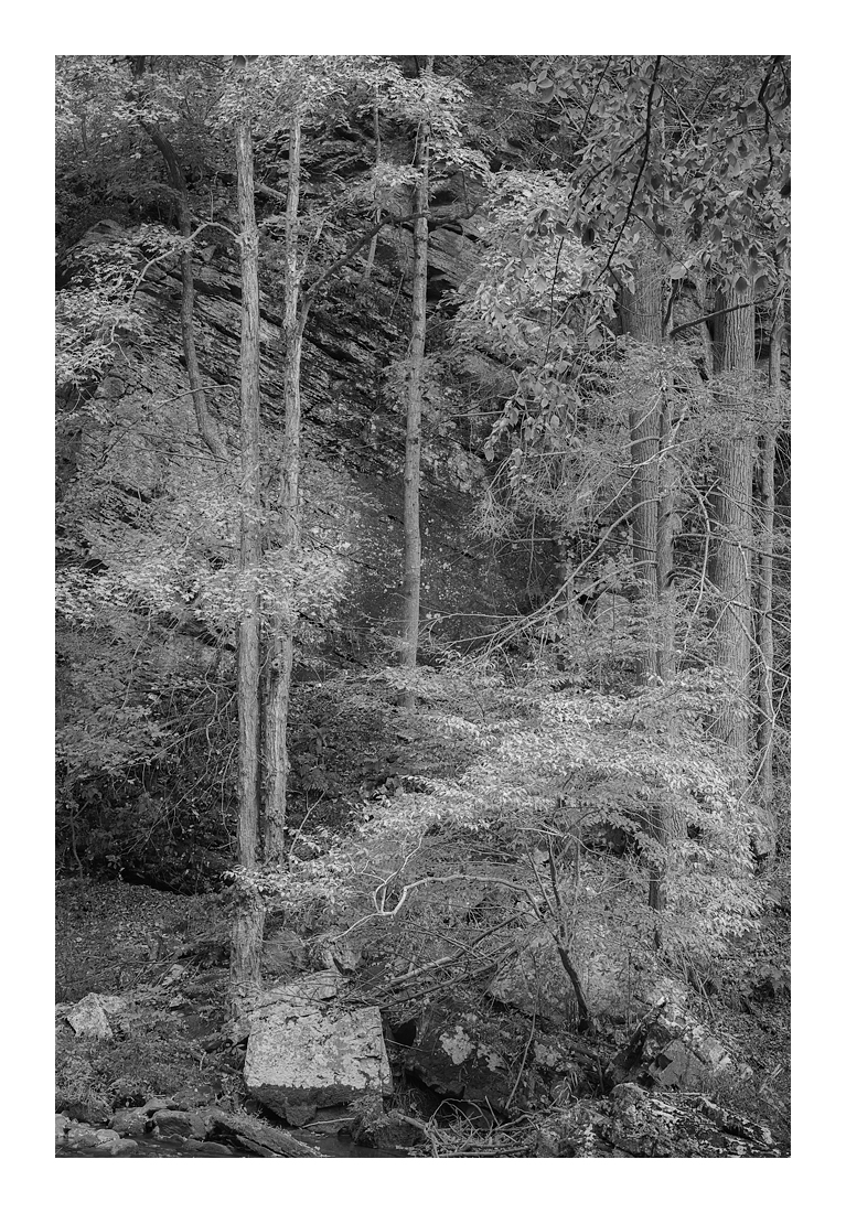 pattersoncreek-6504-web