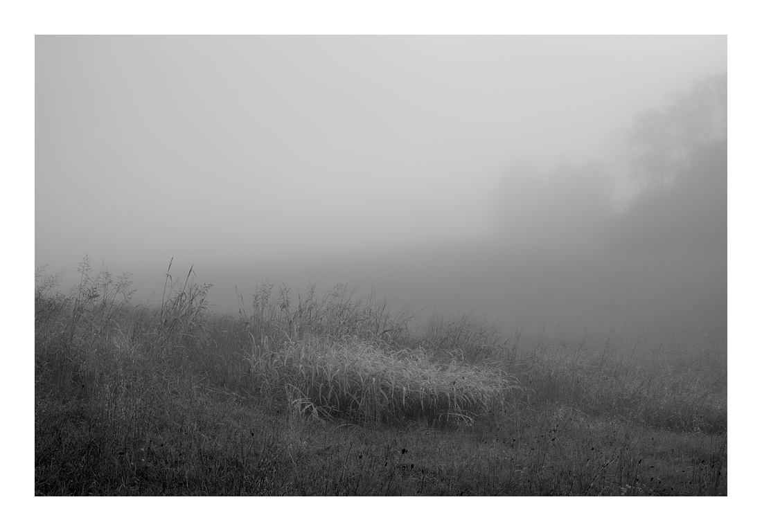 50mm Zeiss Planar CY